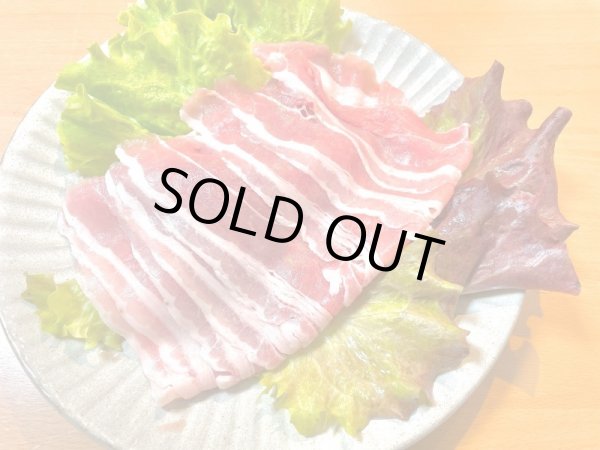 画像4: 【放牧豚】3ヶ月定期便セット 送料無料  (4)