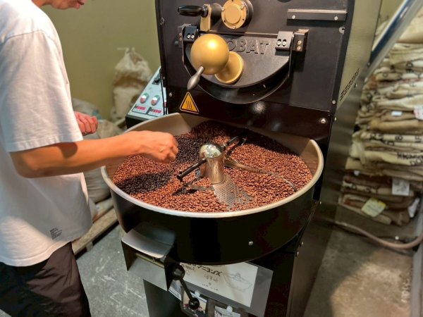 画像8: 【舟木コーヒー】ウェットランドブレンド (8)