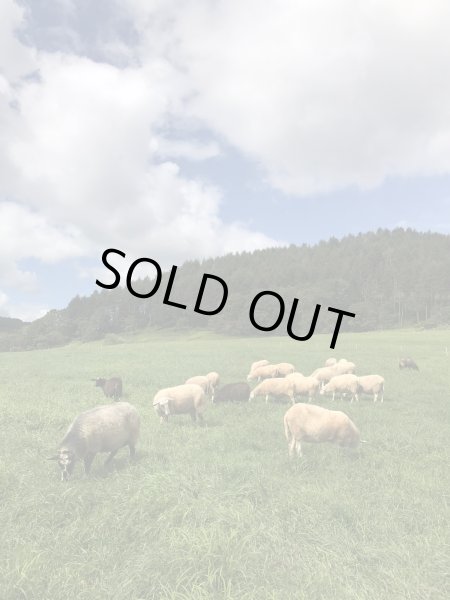 画像5: 期間・数量限定【フカフカ谷牧舎】羊乳のトム　セミハードチーズ　３ヶ月熟成 (5)