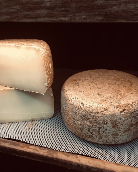 画像3: 期間・数量限定【フカフカ谷牧舎】羊乳のトム　セミハードチーズ　３ヶ月熟成 (3)