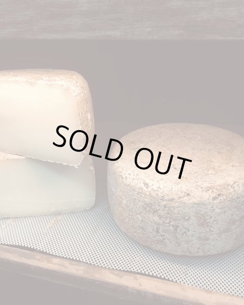 画像3: 期間・数量限定【フカフカ谷牧舎】羊乳のトム　セミハードチーズ　３ヶ月熟成 (3)