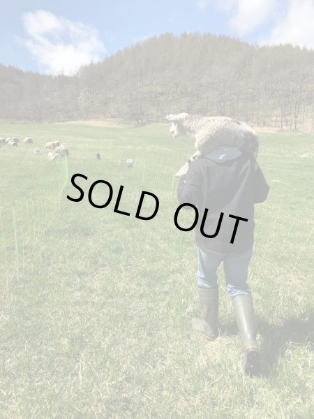 画像4: 期間・数量限定【フカフカ谷牧舎】羊乳のトム　セミハードチーズ　３ヶ月熟成 (4)