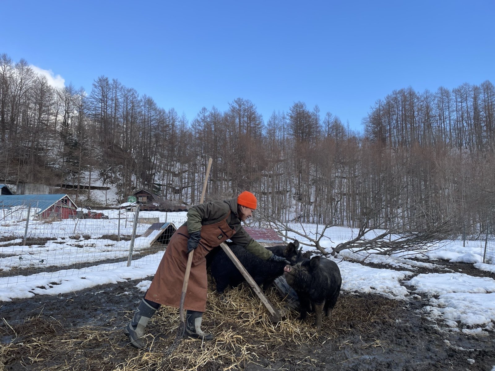 【STAFFブログ#2】思っていたより、ずっと優しい存在