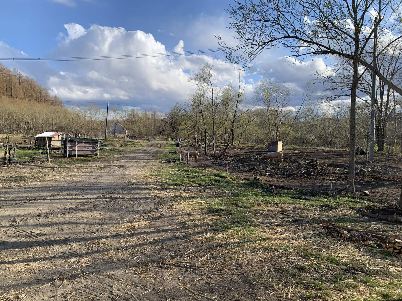 【入荷情報】外でも家でも。GWはちょっといい焼肉を！