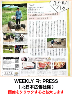 WEEKLY Fit PRESS(北日本広告社様)